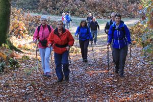 Nordic Walking